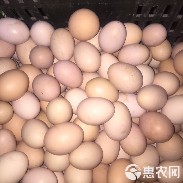 水产品四大家鱼与家禽家畜批发行情解析