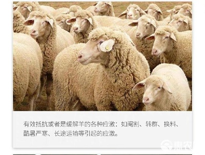 复合型多维家禽家畜通用饲料的应用与优势