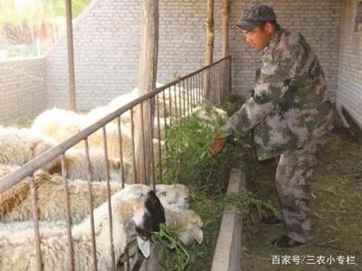 关于2019年1月1日起全面禁止农民养家禽家畜的真相