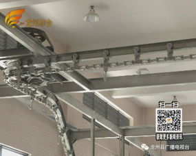 龙州县食品公司家畜定点屠宰厂搬迁项目竣工，现代化屠宰厂即将投入使用