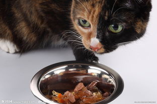 家禽家畜图集 从饲养认知到资源下载